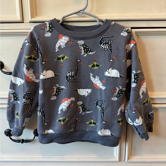 Carter's Other - Carter’s Dinosaur Print Gray Kids Sweatshirt 4T Halloween